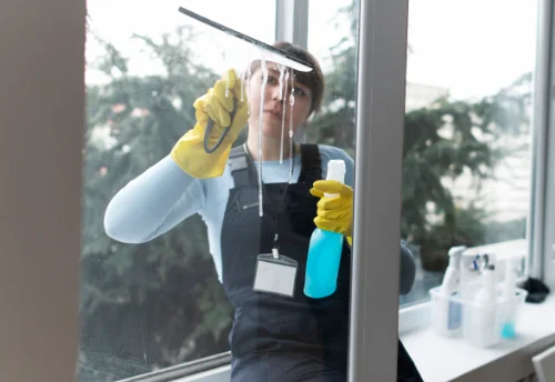 Nettoyage de vitres intérieures et extérieures à Saint-André-le-Coq
